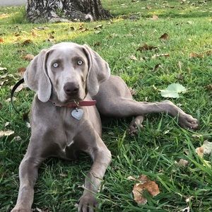 Meet your Posher, Jackie